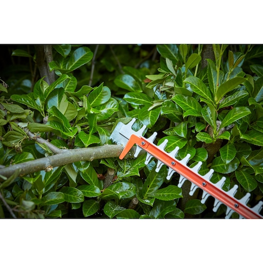BLACKDECKER BCHTS3625L1 heggenschaarblad snijdt een tak tussen groene bladeren, close-up.