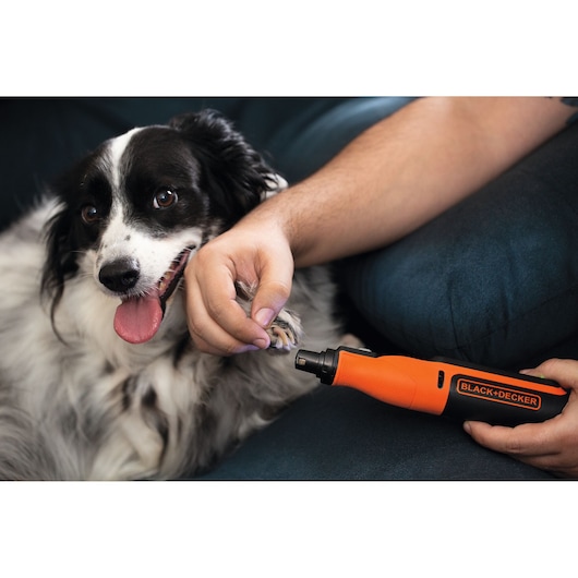 BLACK+DECKER BCRT8IK nagelvijl voor huisdieren gebruikt op een hondenpoot, oranje en zwart gereedschap in hand.