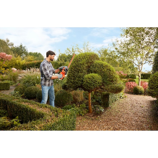 BLACKDECKER heggenstrimmer BEHT201 gebruikt buiten voor het trimmen van sierstruiken in een tuin.