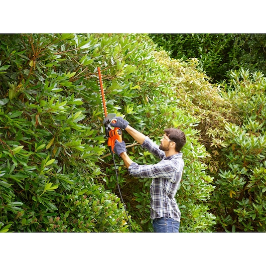 BLACKDECKER BEHT251KIT taille-haie utilisé en extérieur pour tailler de grands buissons verts.