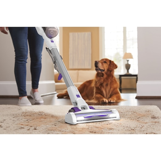BLACKDECKER BHFEV1825CP draadloze stofzuiger reinigt een tapijt in huis, hond op de achtergrond.