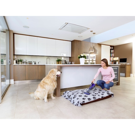 BLACKDECKER DVA325JP07 handheld stofzuiger maakt hondenbed schoon in moderne keuken, met hond.