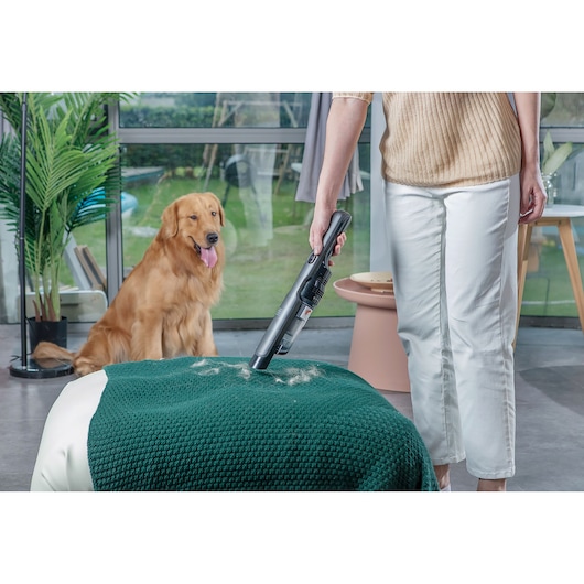 BLACKDECKER DVC320B21 handstofzuiger verwijdert dierenharen van groen deken met hond op de achtergrond, binnenruimte.